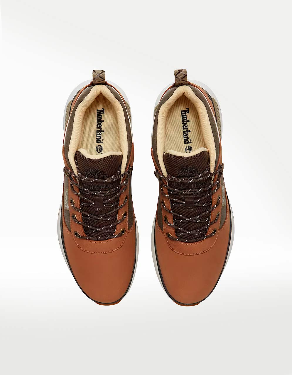 Tenis Timberland Low Lace Up Café - Hombre